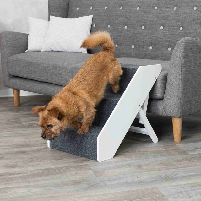 Trap, hoogteverstelbaar, MDF 40 × 47 × 67 cm, wit 39488