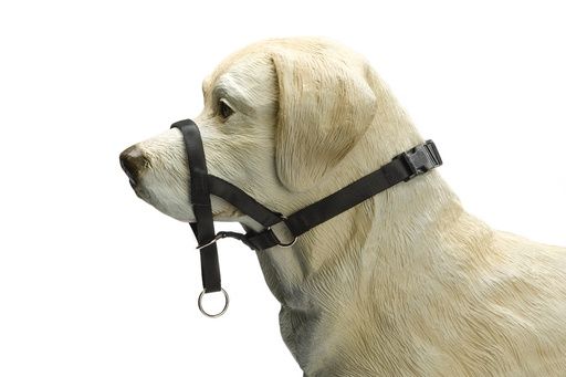 BZ DOG CONTROL S ZWT  765386