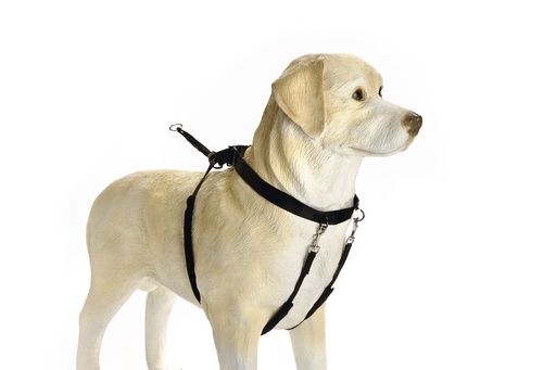 BZ GENTLE WALKER ZWT XL  749764