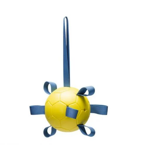 BZ FETCH SPEELBAL POWER GL 13 625627