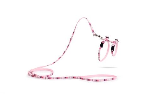 BZ NYL KITTENT JOY RZE 15-33X8+120 730403