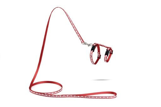 BZ NYL KITTENTUIG HEARTS RD 120X10 730345