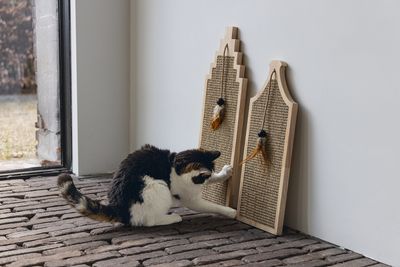 Krabplanken en -kartons