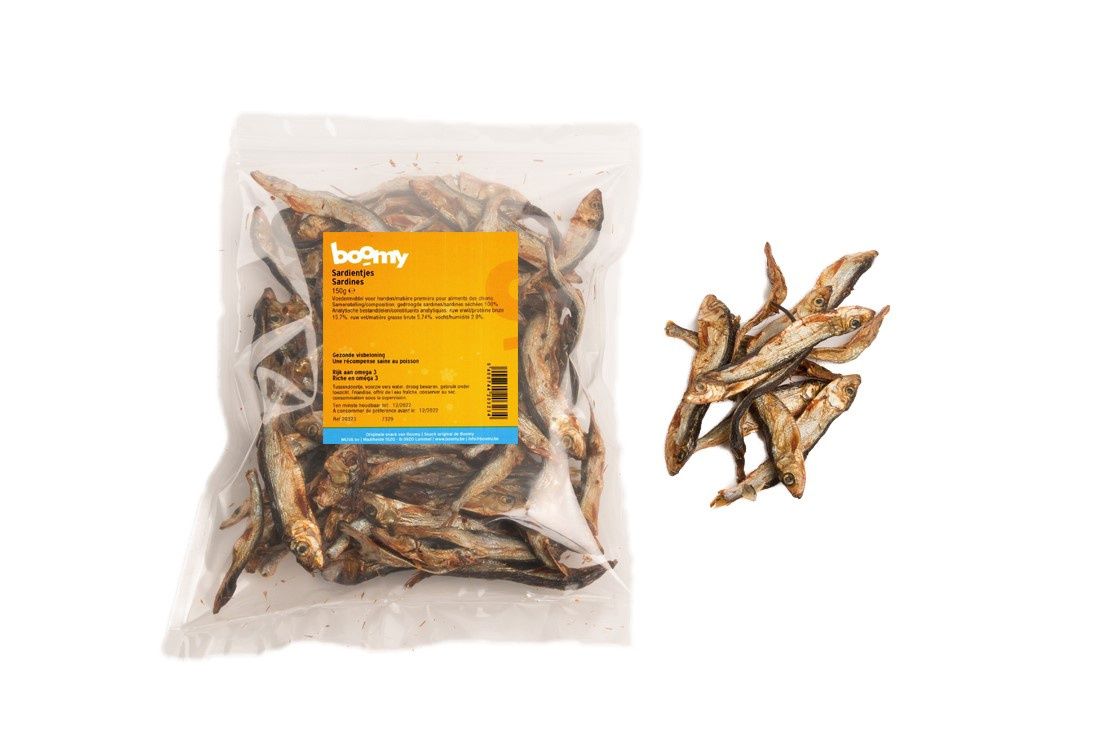 Sardines 150g    20323