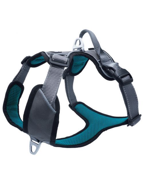 Outdoor Hondentuig XL petrol 82-106 Cm   GHL-309750