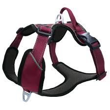Outdoor Hondentuig XS berry 38x46 GHL-312453