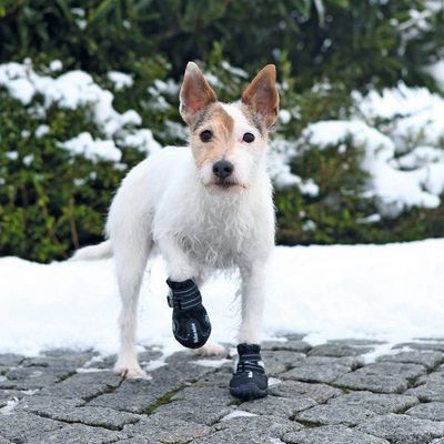 Schoenen en sokken