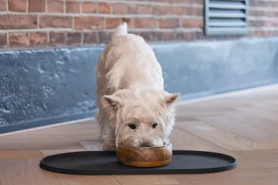 Placemats