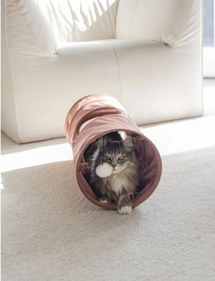 Kattentunnels