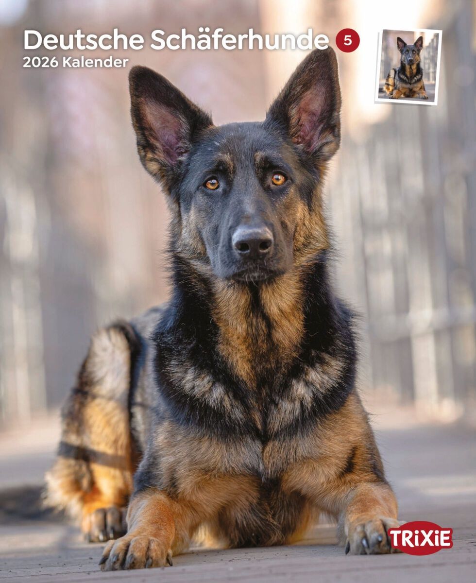 Kalender Duitse herders 12556