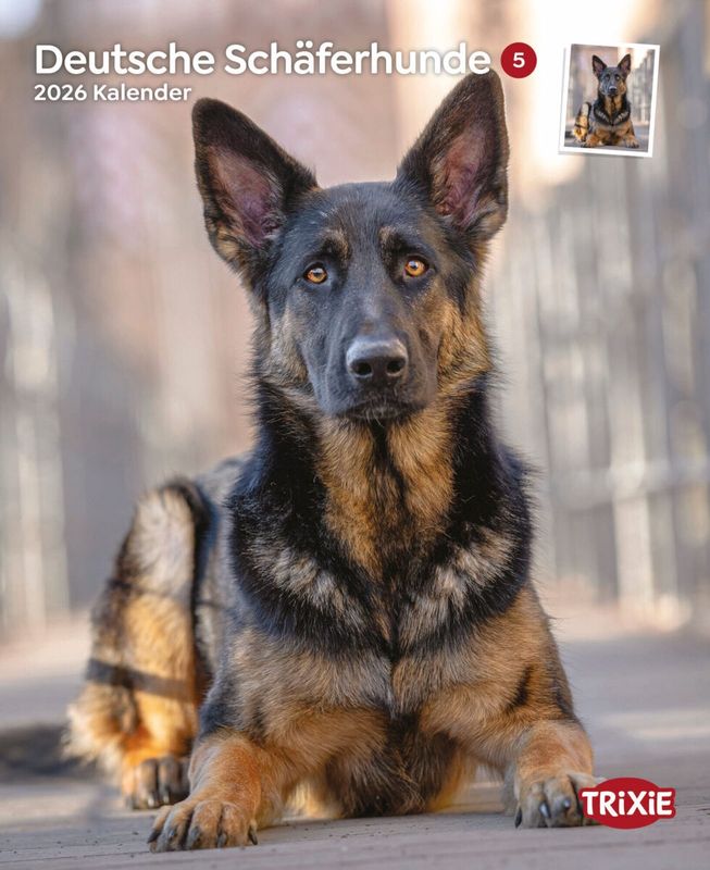 Kalender Duitse herders 12556