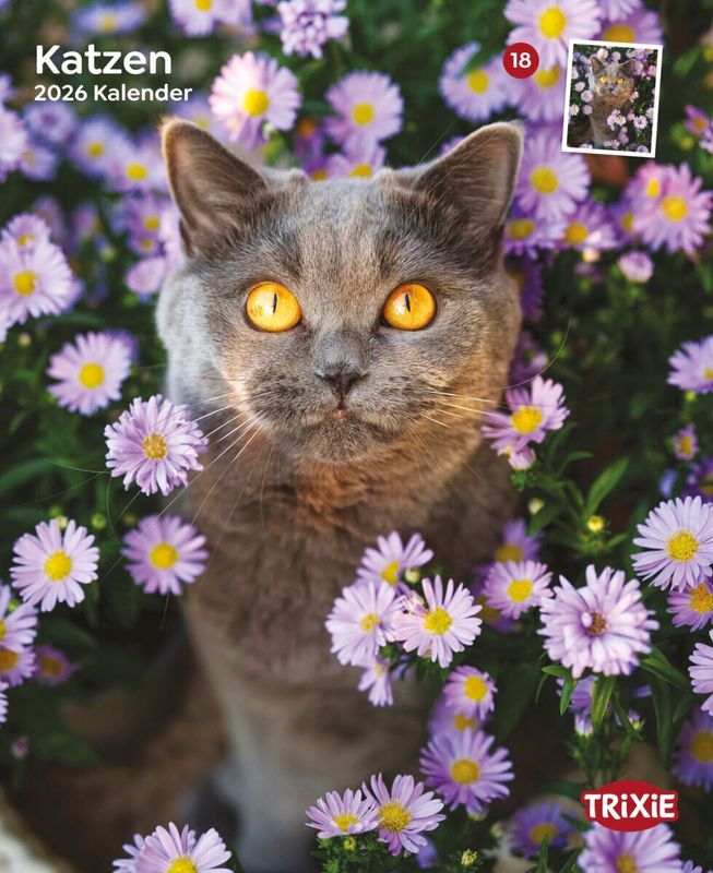 Kalender katten 12592