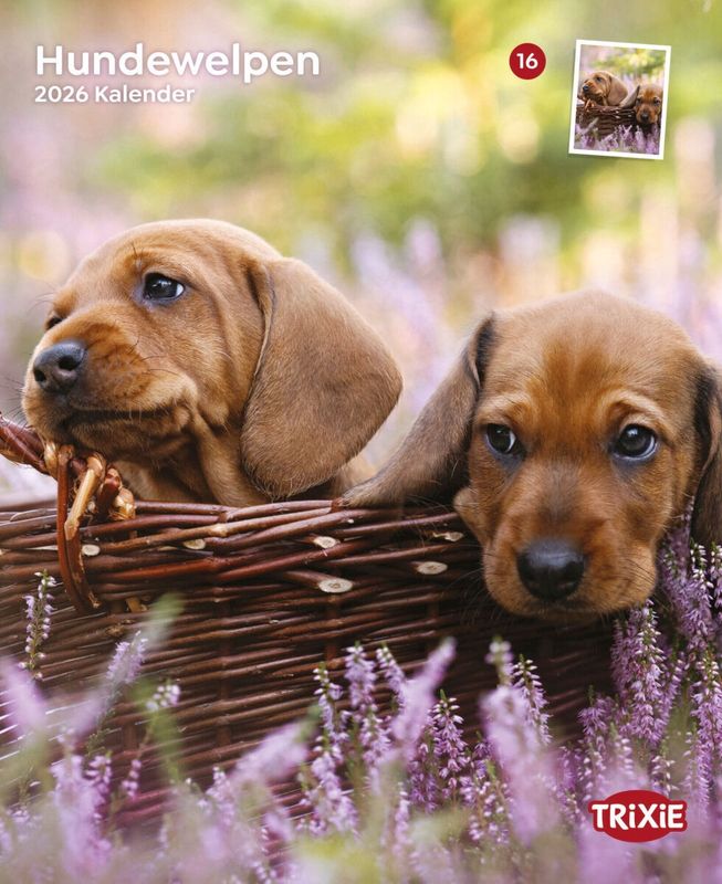 Kalender puppy&#39;s 12588