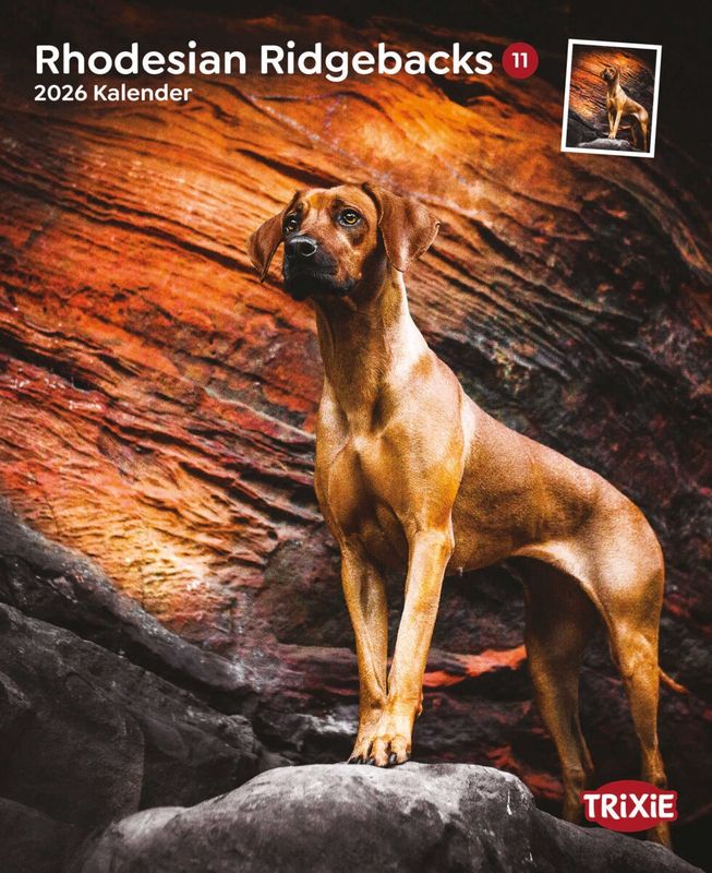 Kalender Rhodesian Ridgebacks 12576