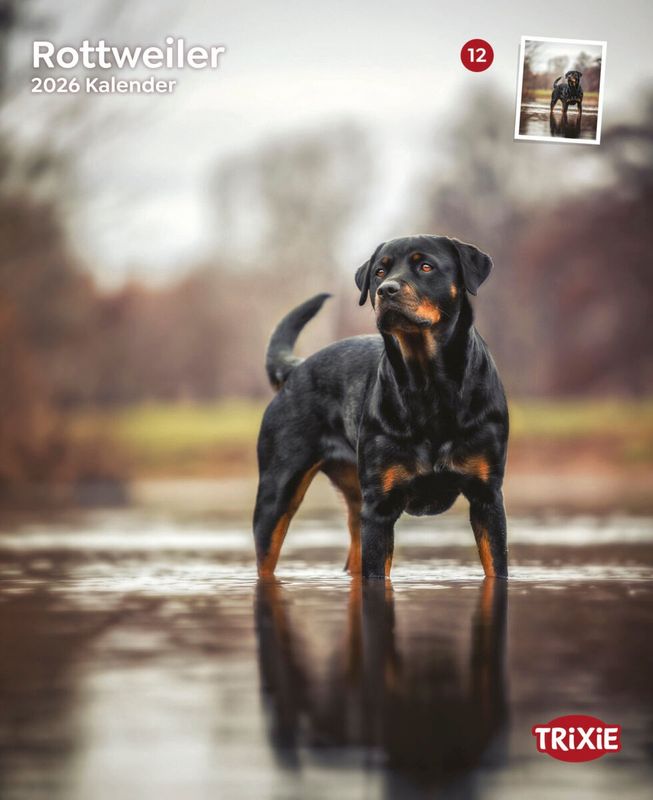 Kalender Rottweilers 12577