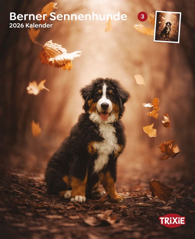 Kalender Berner sennenhonden 12549
