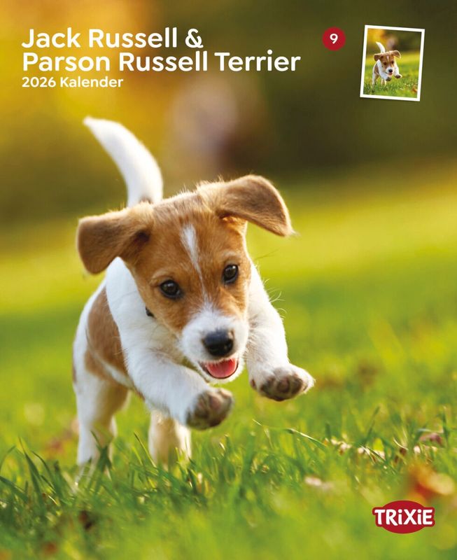 Kalender Jack Russell &amp; Parson Russel terriërs 12566
