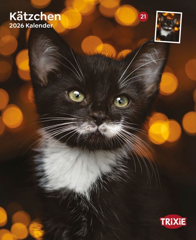 Kalender kittens 12591