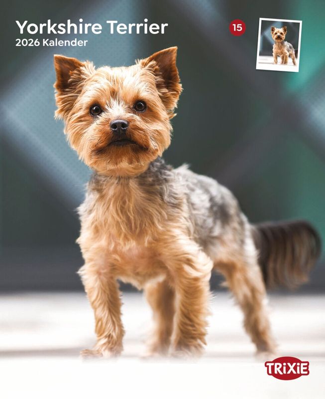 Kalender Yorkshire terriërs 12587
