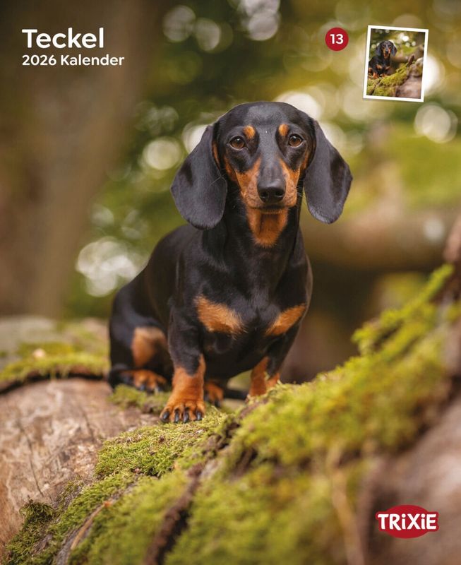 Kalender teckels 12583
