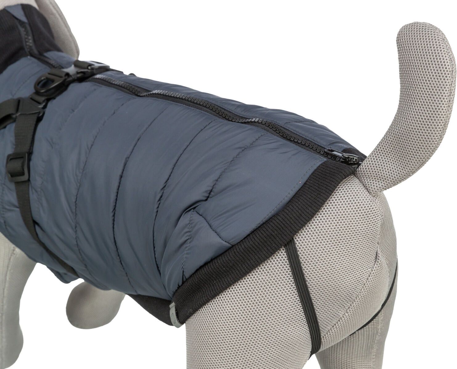 Jas Pontis met tuig, blauw