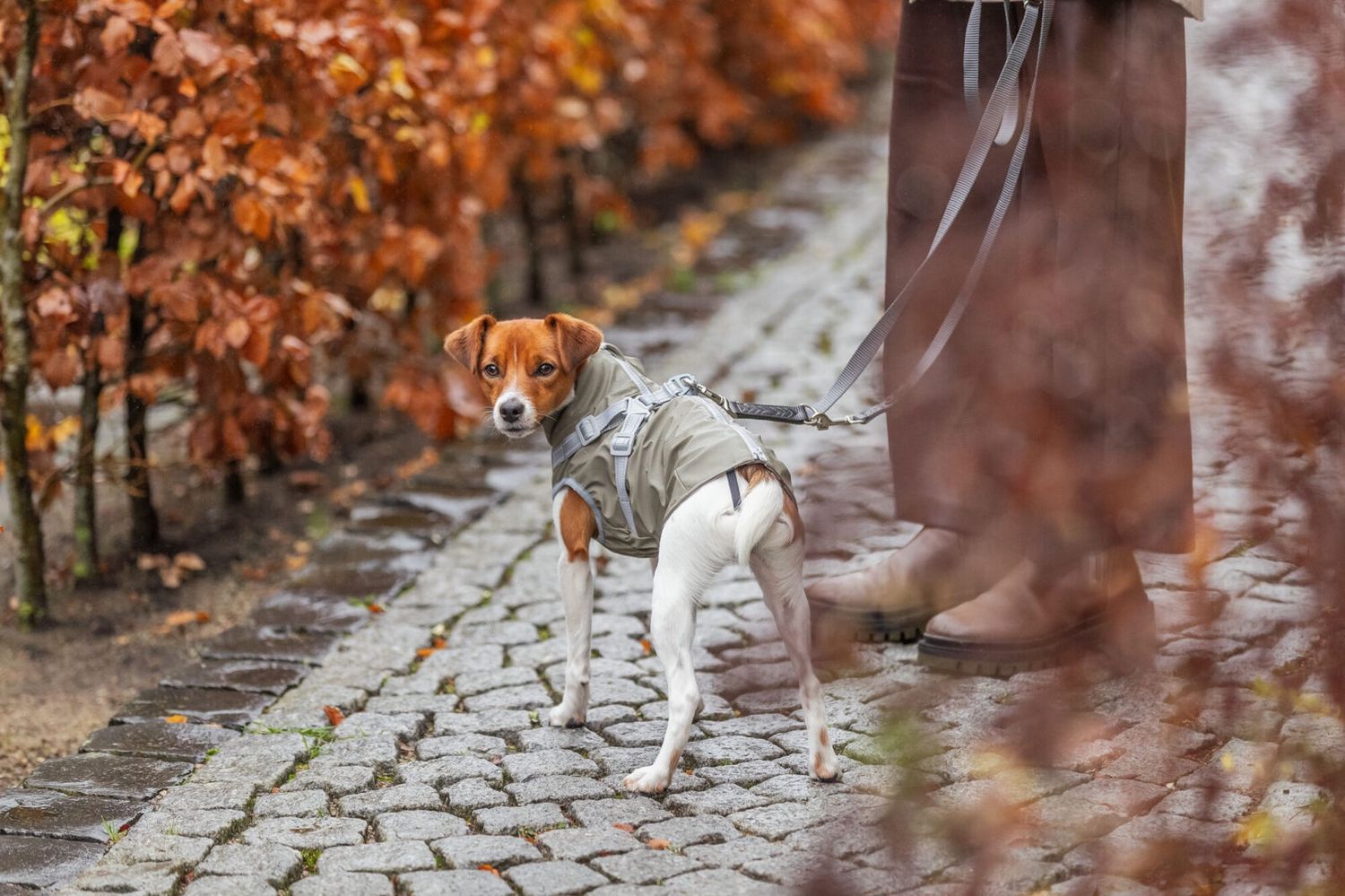 Jas Pontis rain groen