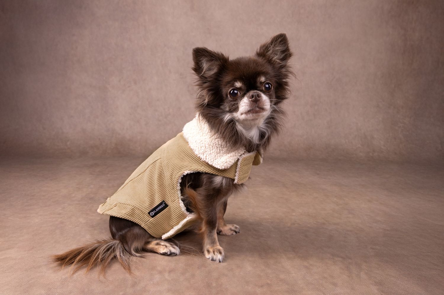 Jas Endor Beige