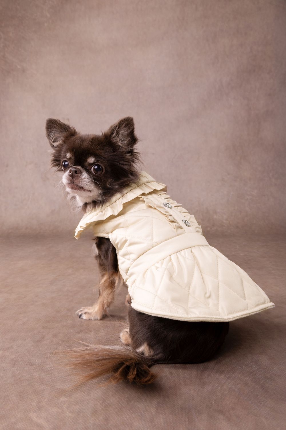 Jas Jewel Beige