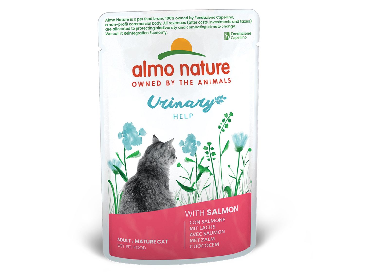 HOL Cats 70g Urinary Help met zalm A5300