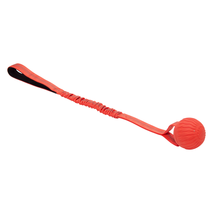 JV Playscent Bal met bungee touw rood 48/2190