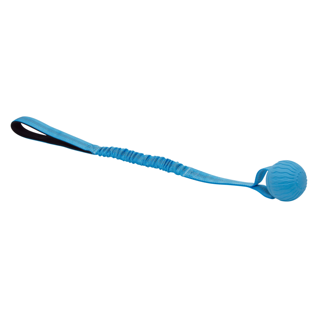 JV Playscent Bal met bungee touw blauw 48/2195