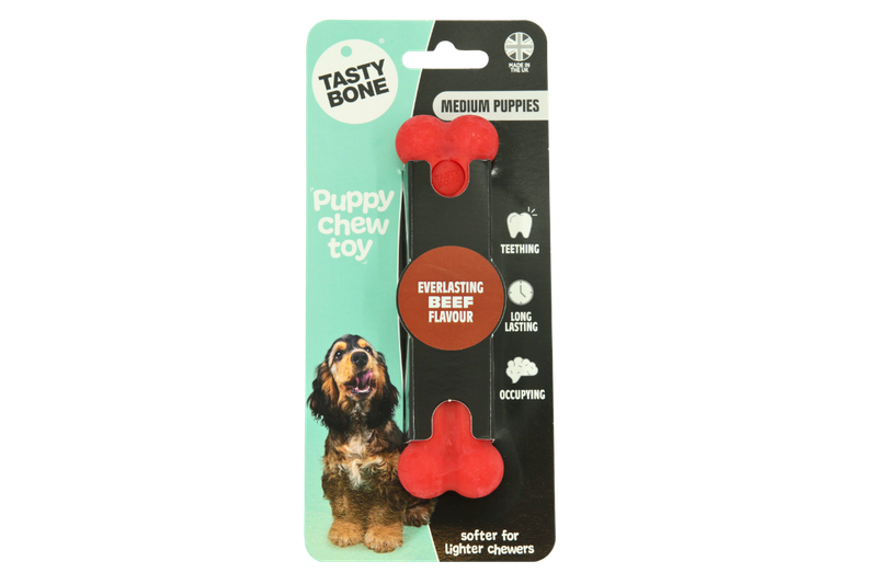 TB Nylon Puppy bone beef medium 74941