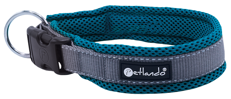 Magnetech Halsband XXXS anthrazit/petrol  25 - 30 cm MC-010256