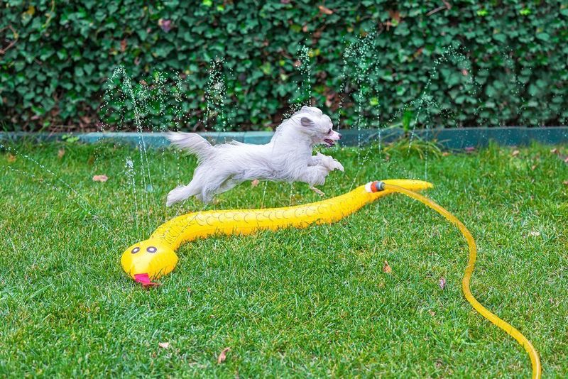 BZ PVC HSP SPLASHY SNAKE GL 150 704635