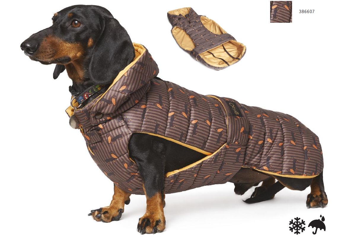 WATERDICHTE WINTERMANTEL TECKEL 47cm 386607090