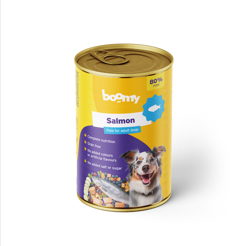 Blikvoeding salmon 400g 40200