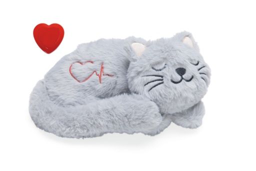 BZ KITTEN KNUFFEL HEARTBEAT PUR 23 430595