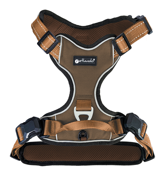 [P-007782] Magnetech Geschirr (S, mokka / cognac)