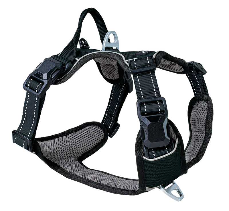 [P-008260] Magnetech Geschirr (L, anthrazit/schwarz)