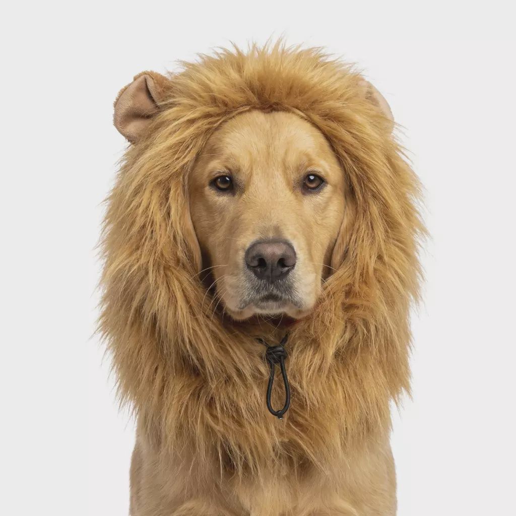 Oranje Manen Tooi L ORAN0011L