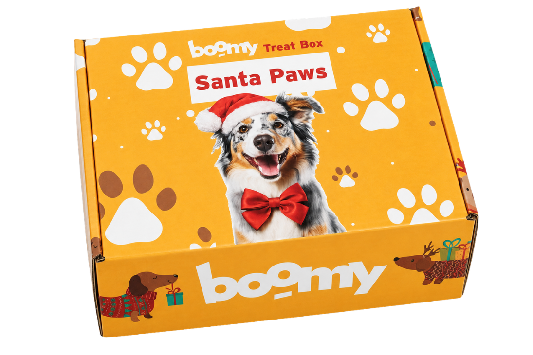 Boomy Kerstbox vol 23352