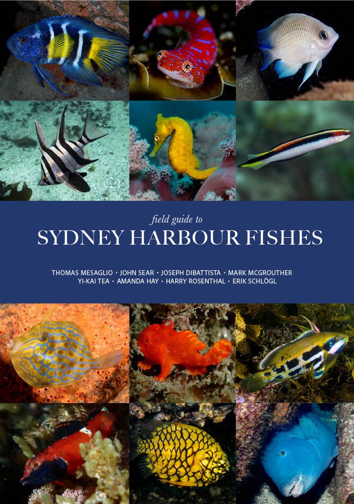 Sydney Harbour Fishes
