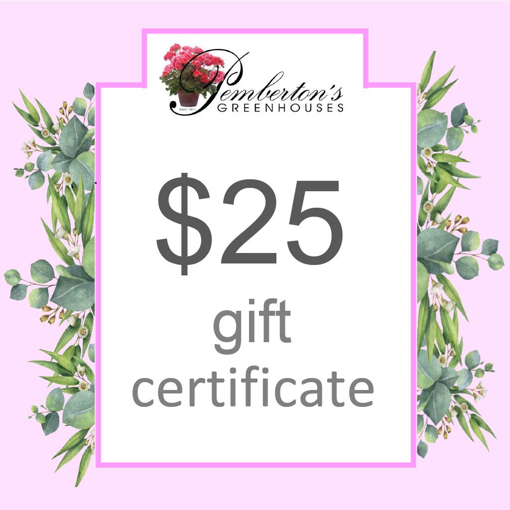 $25 Gift Certificate