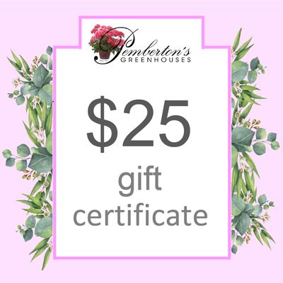 $25 Gift Certificate