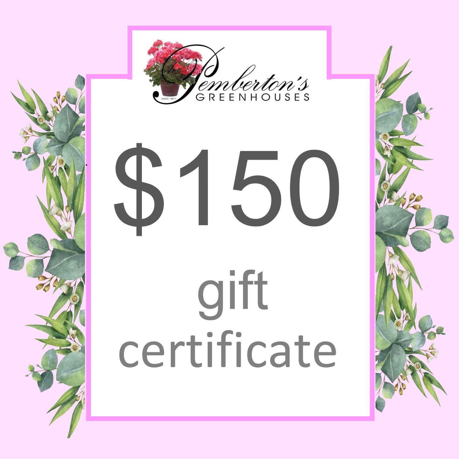 $150 Gift Certificate