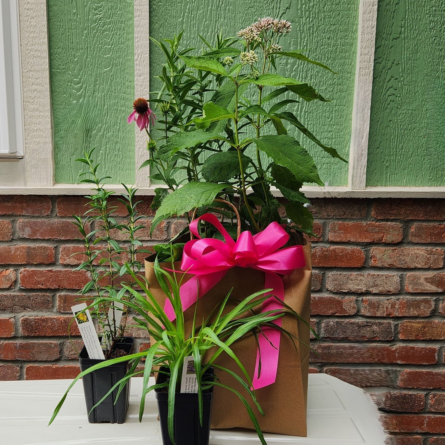 Bag o&#39; Butterflies