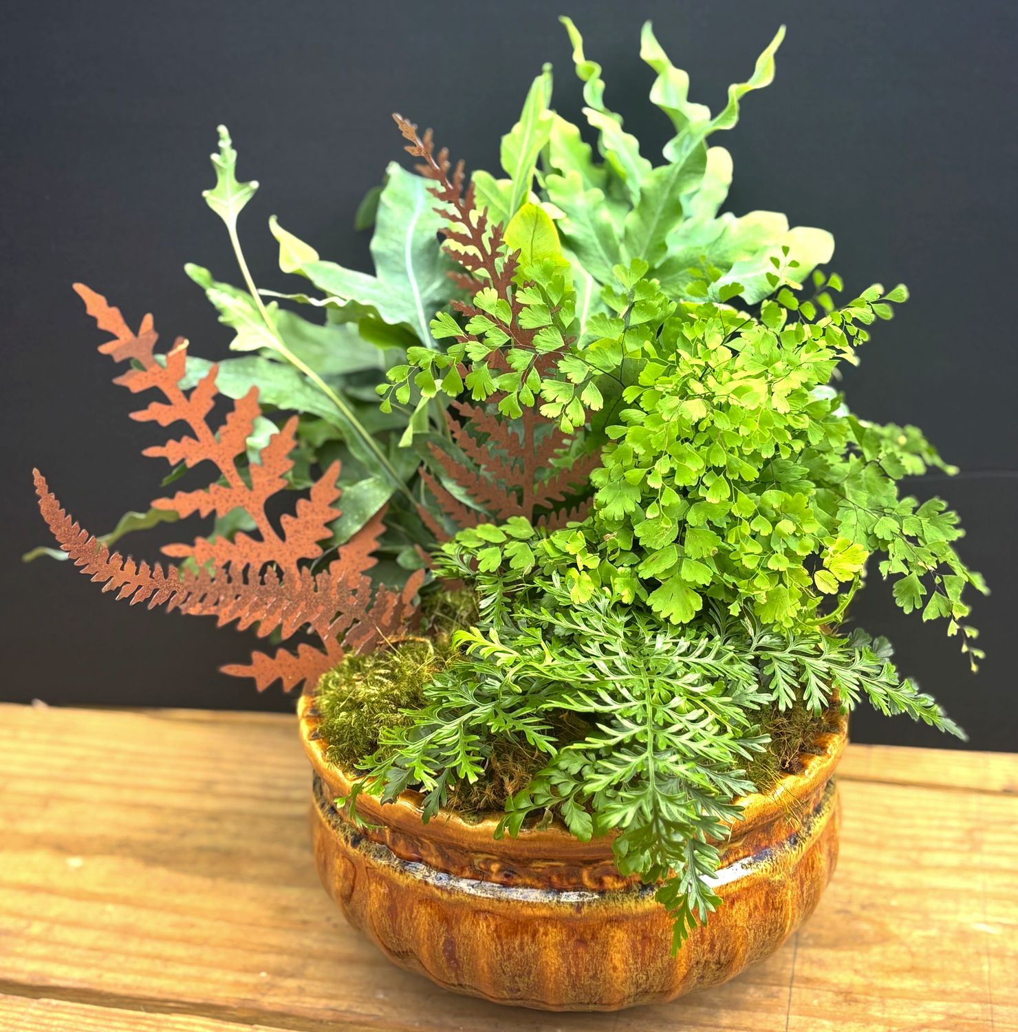 Petite Fernery