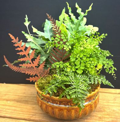 Petite Fernery