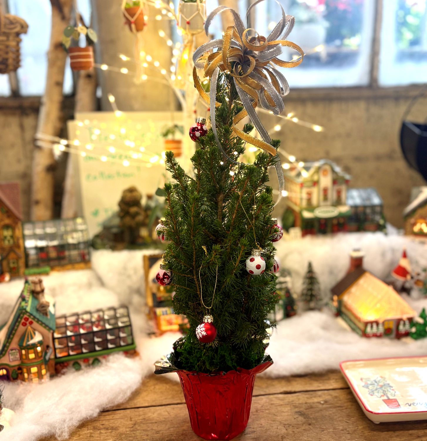 Mini Living Holiday Tree