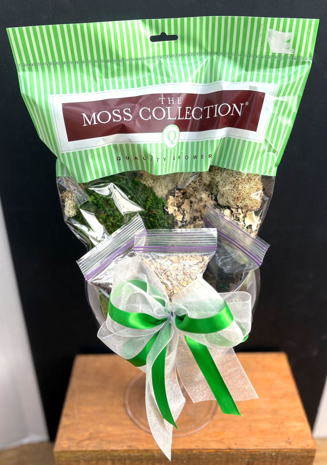 The Cozy Grove Terrarium Kit